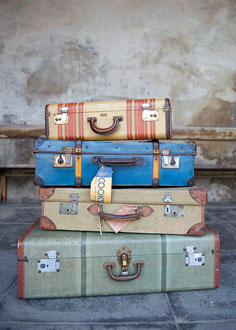 30 kg trolley bag size