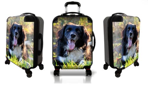 Personalized luggage with happy dog